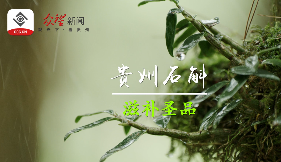 ��ǭ��ʮ��Ʒ������30��֮ʯ��